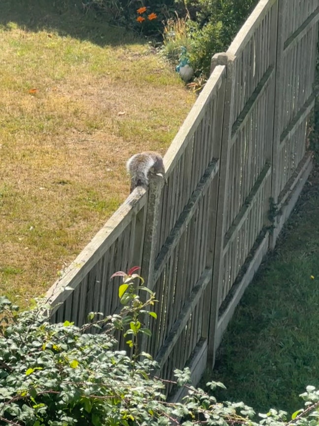 Shared house in Headington  Main Photo