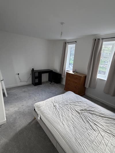 Looking for a house mate  Main Photo