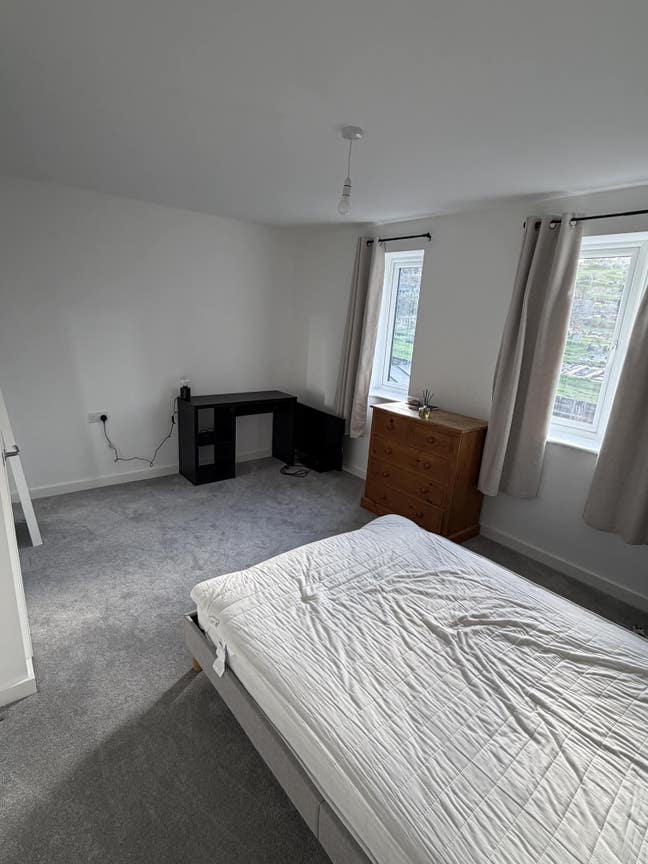 Looking for a house mate  Main Photo