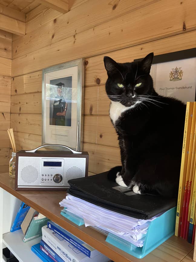 Large Room in Lovely Cottage Main Photo