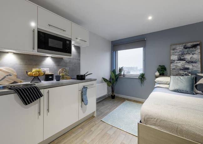 The Bridge Main Photo