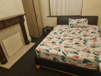 Double room in a tidy home available  Main Photo