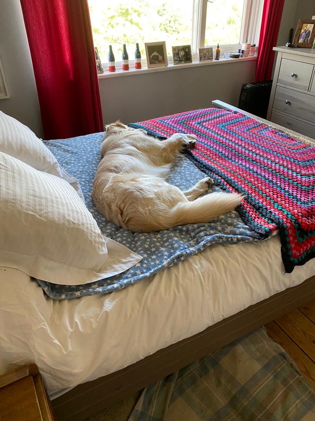 Double Bedroom - Furnished  Main Photo