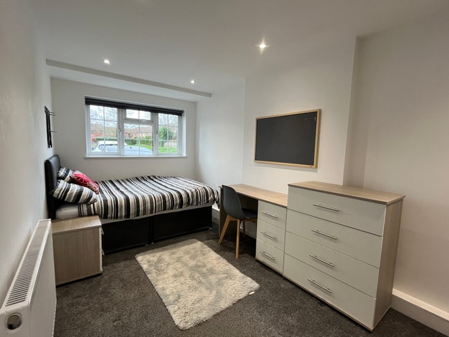 Double Room - Private Showeroom Main Photo