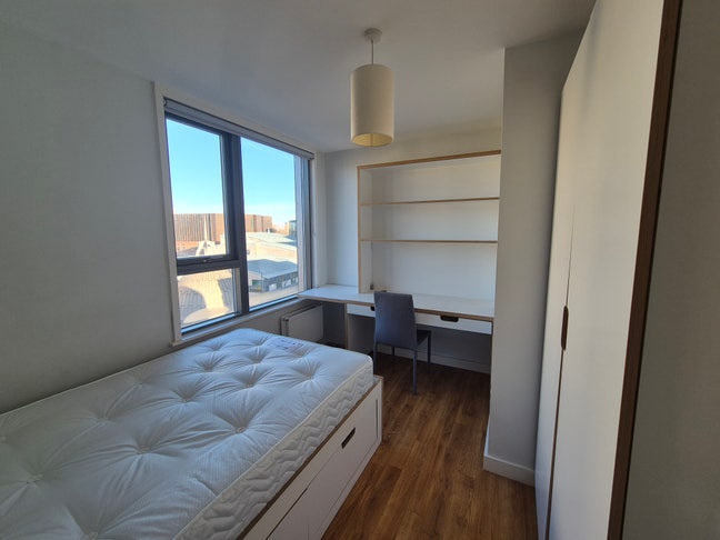 Bright Double Room – Mile End / QMUL Main Photo