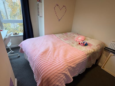 Furnished single room. Main Photo