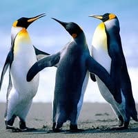 38 year old Male seeks a double room Main Photo