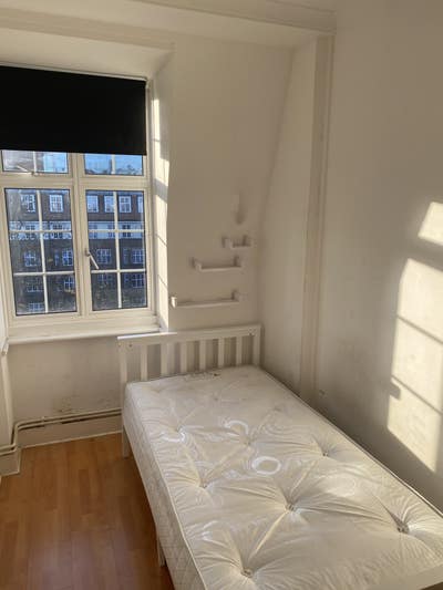 Nice single room in great area  Main Photo