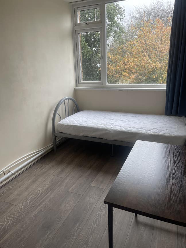 Hatfield single  room  ex bills  Main Photo