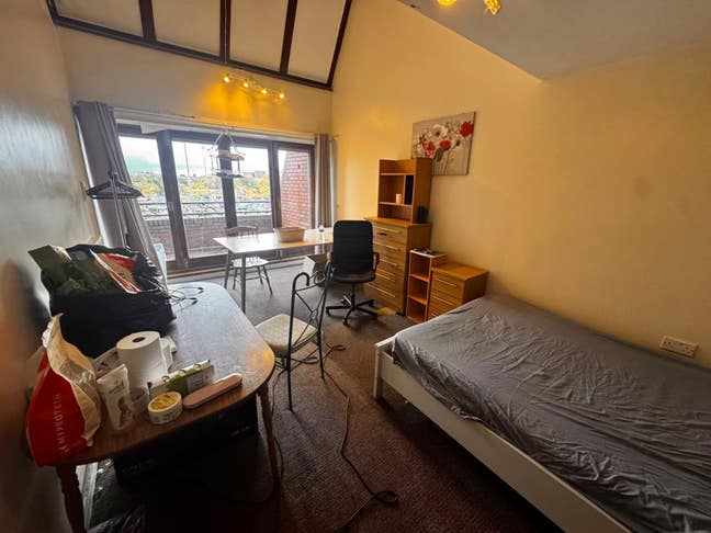 House Above Cannonpark Main Photo