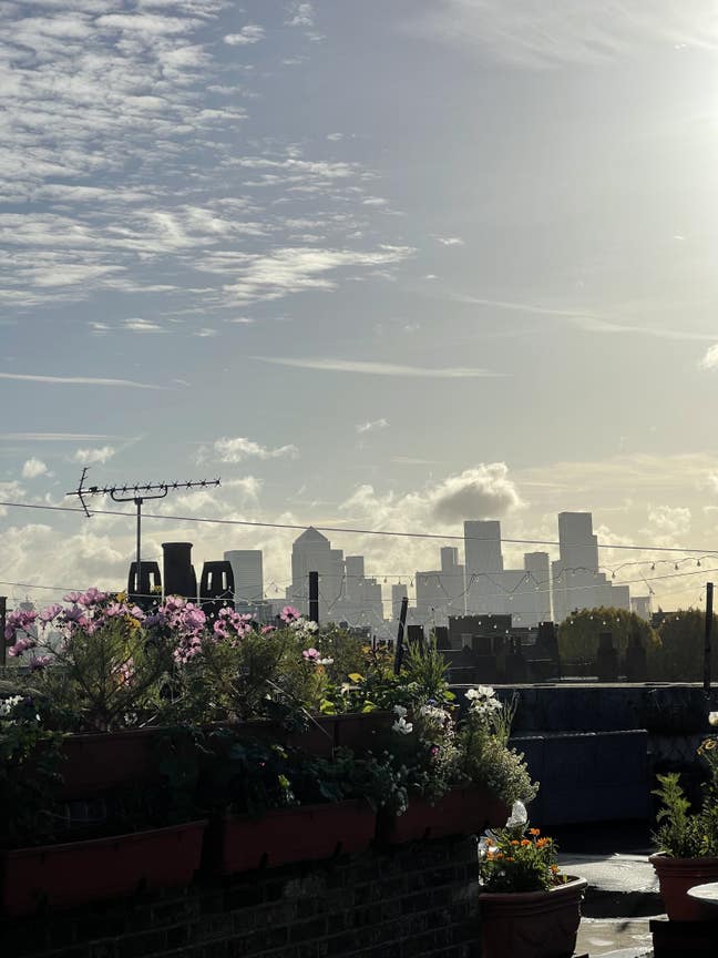 Cosy Whitechapel flat with roof terrace  Main Photo