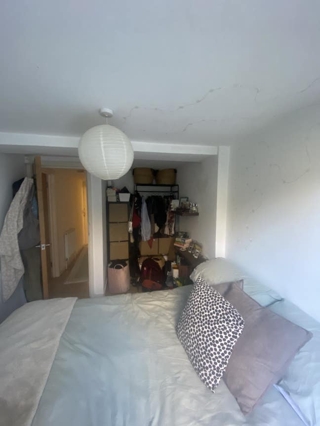 1 Double Bedroom Sublet February - June  Main Photo