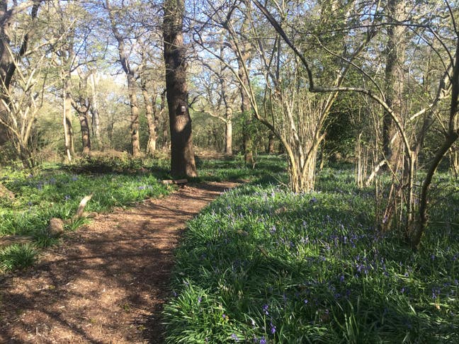  Quiet double room 5 minutes to Central Line tube Main Photo