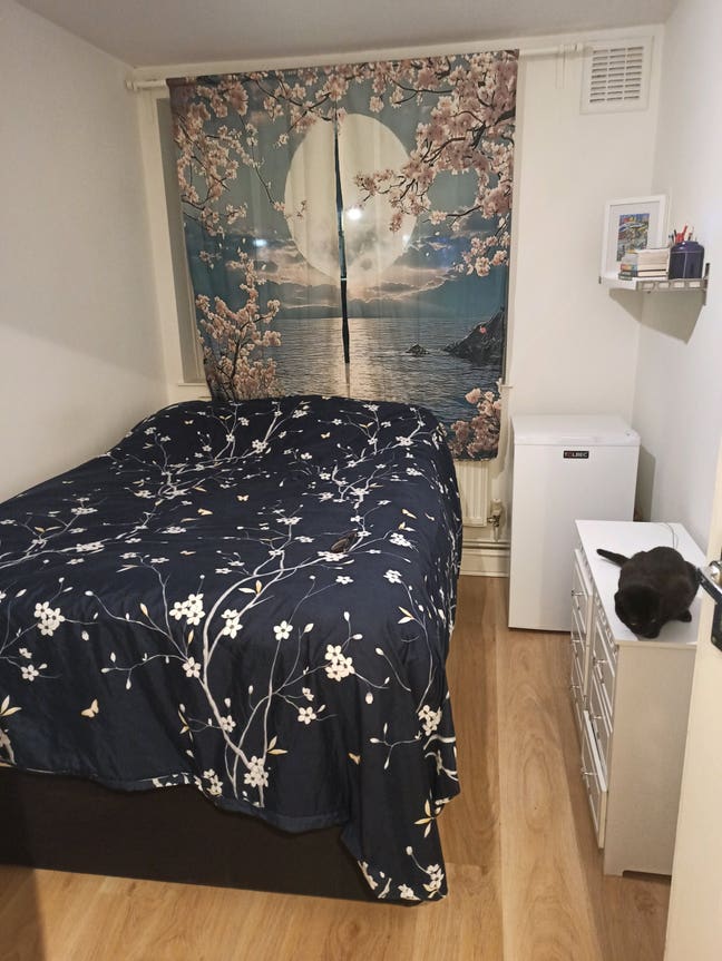 Temporary vacancy Main Photo