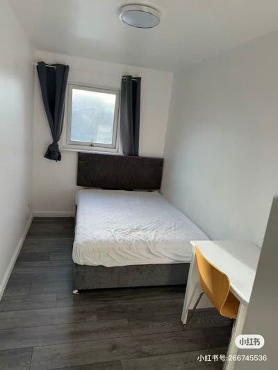 Single Room available for Rent Main Photo
