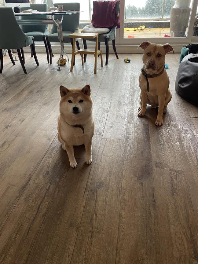 Gorgeous panoramic sea views Main Photo