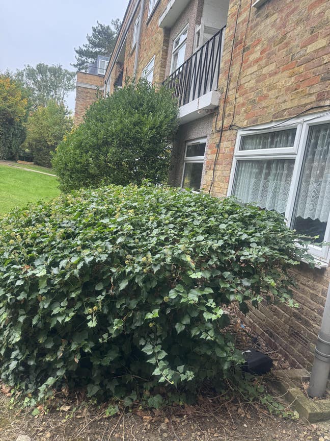 A lovely purpose built studio  Main Photo