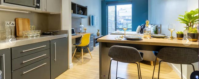 Luxury Studio Main Photo