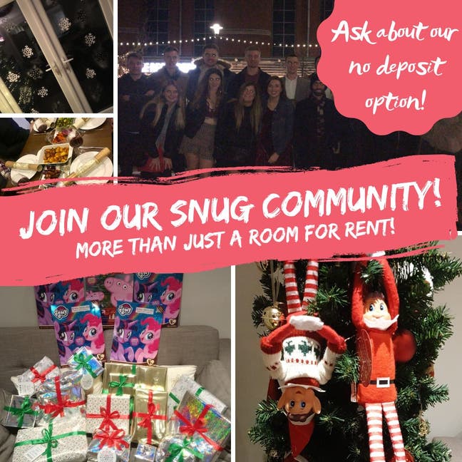 Perfect Your Roast Making Skills with Snug 🍗🥔🥕 Main Photo