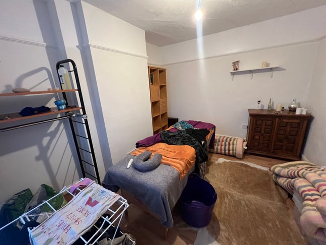 Pretty chilled house, plants and dog Main Photo