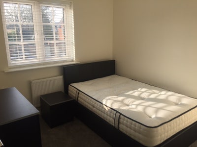 Small Double Bedroom for Single Occupancy Main Photo