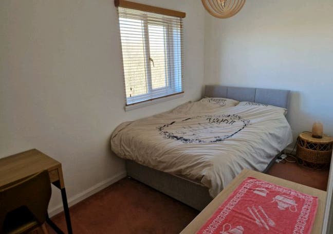 Room available in a shared flat  Main Photo
