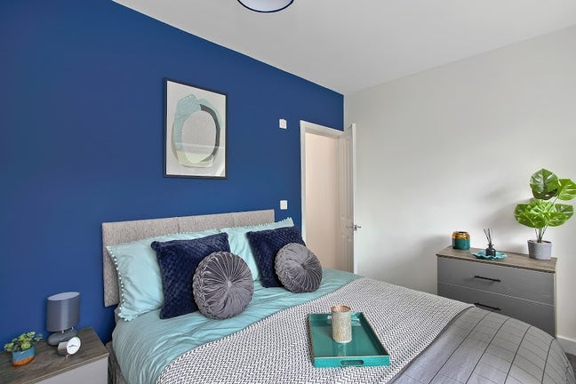 🏡 Live with Professional & Friendly Housemates Main Photo