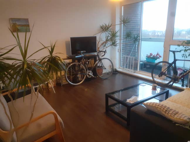 Bright room belsize park/hampstead Main Photo