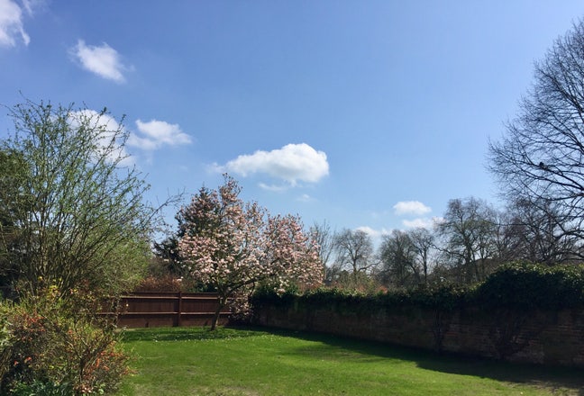 Large double room bills & cleaner included Main Photo