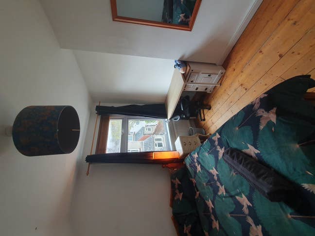 Room in Lovely Roath home  Main Photo