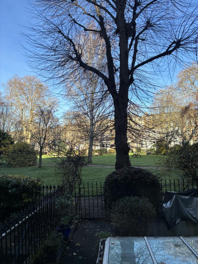 1 Bed Flat at Philbeach Gardens SW5 Main Photo