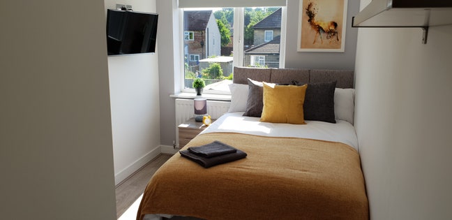 💥Large En Suite Room, Great Location💥 Main Photo