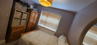 Room in clean and spacious house available  Main Photo