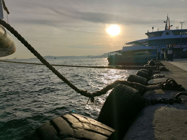 Easy going professional, looking for relaxed house Main Photo