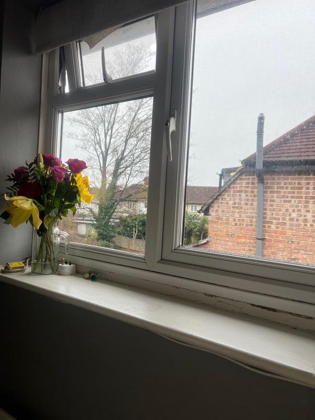 We Are Looking for a Student Female  Main Photo