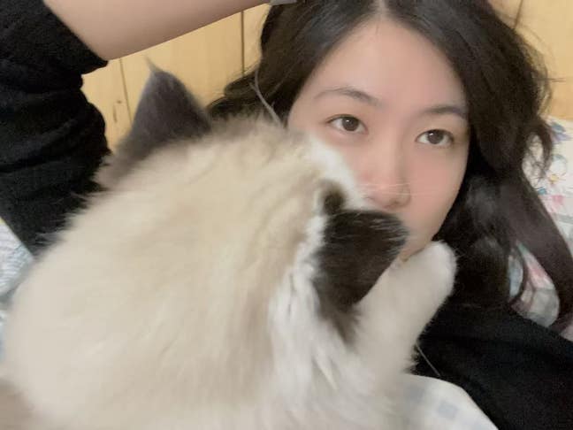 🌱 Babysitting / Childcare in Exchange for Accommo Main Photo