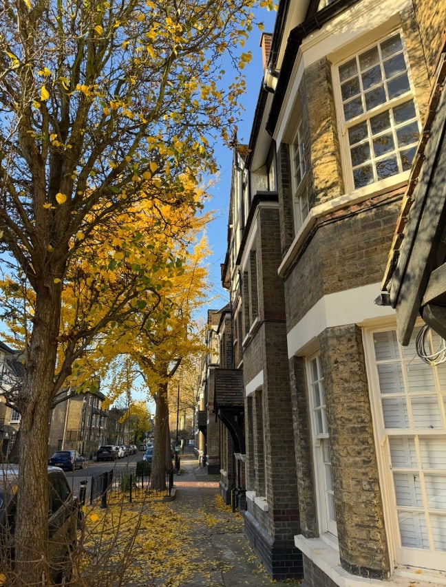 Double Room in Elephant & Castle / Walworth Main Photo