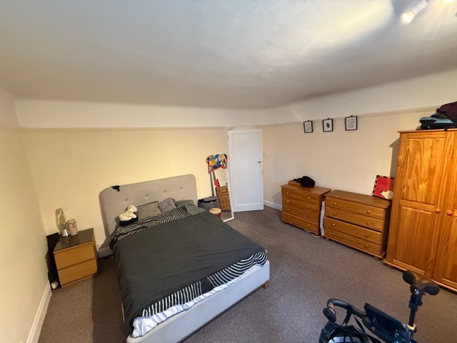 Bright room for Clean Quiet awesome flat friend Main Photo