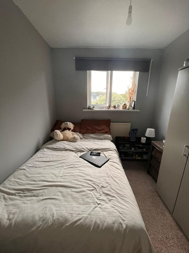 Great Value Room with Garden – E16 🏡🌿 Main Photo