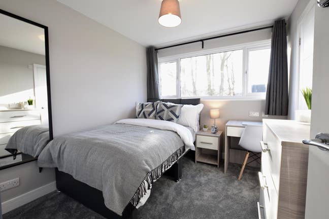 🎄🌟 En-Suite Room🌟🎄 Main Photo