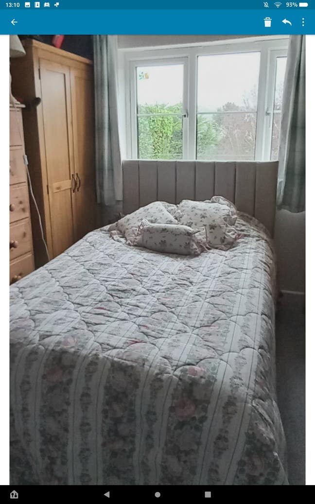 Live in companion Main Photo