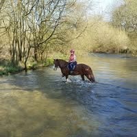 Room to rent  Main Photo