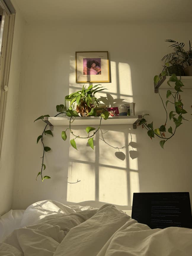 1 month sublet in de beauvoir  Main Photo