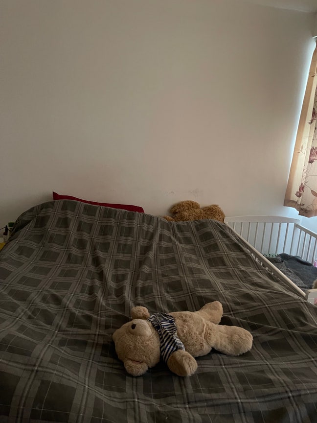 Single room and double room available  Main Photo