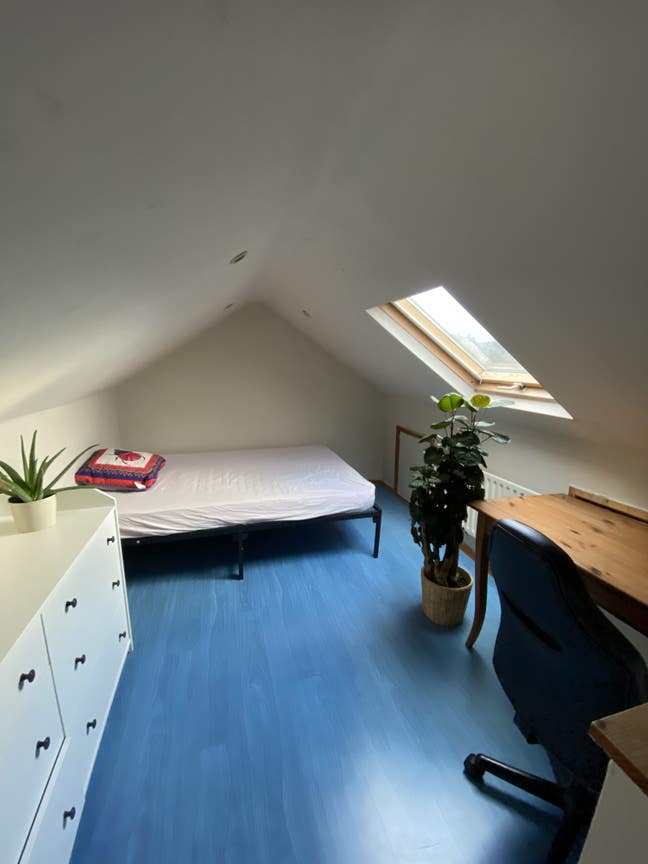 Room for rent in East Belfast house Main Photo