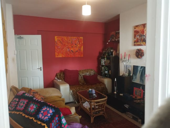Friendly Bedminster house | cat included! Main Photo