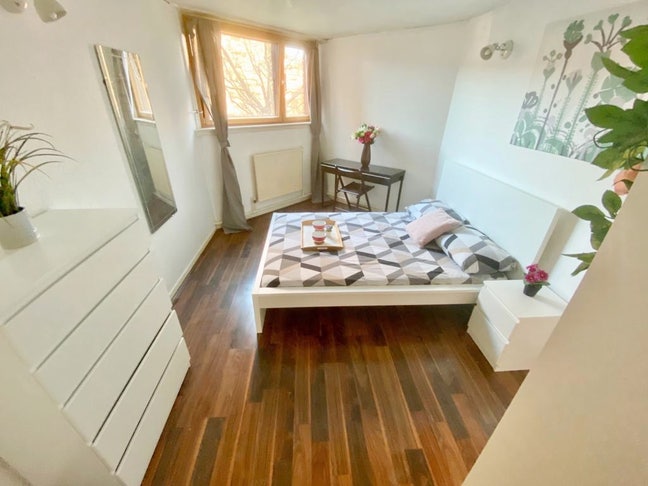 Spacious Double Chelsea / South Kensington Main Photo