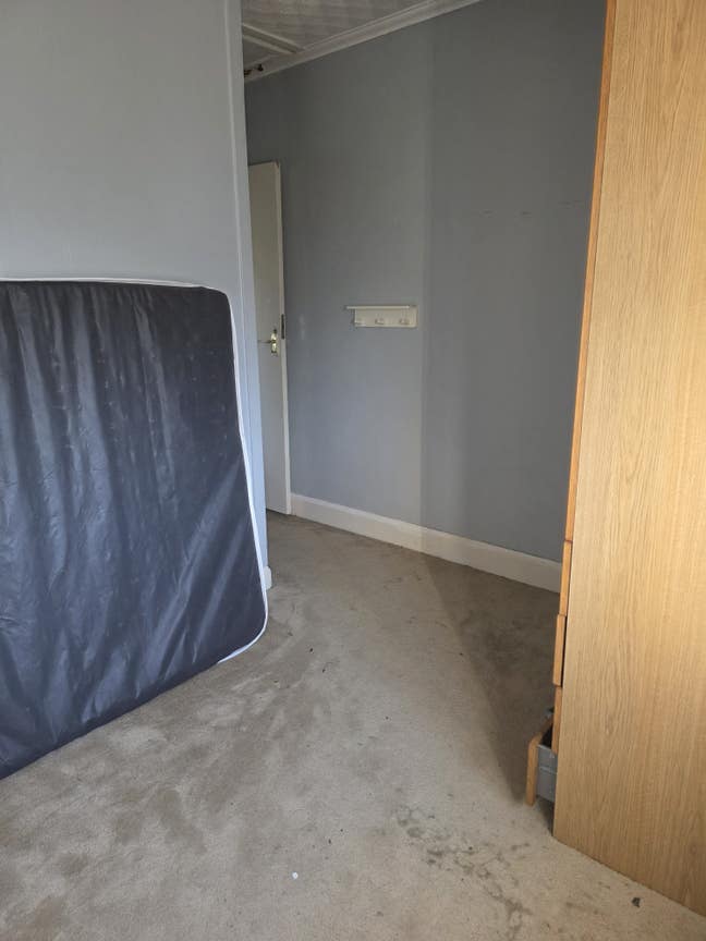 Room to Let in a cozy house Main Photo