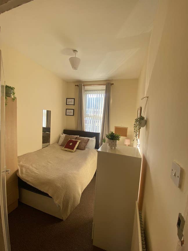 Double room available in Sandyford Main Photo