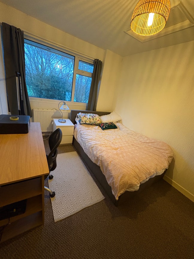 Room available now close to QE Main Photo